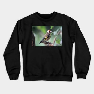 Goldfinch Crewneck Sweatshirt